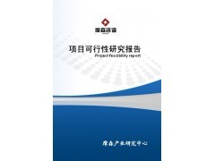 重慶智能機電產品項目可行性研究報告